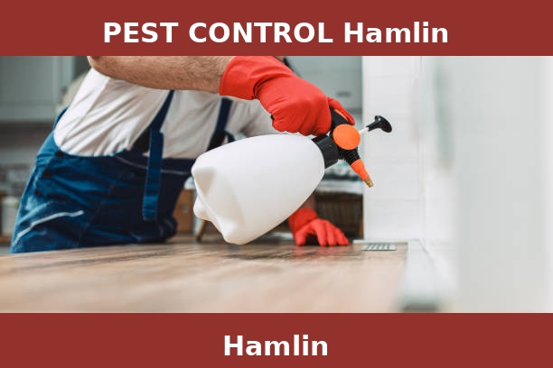 PEST CONTROL Hamlin